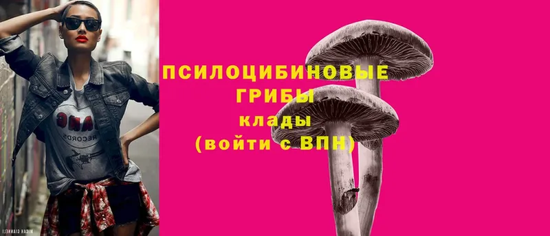 Галлюциногенные грибы Magic Shrooms  закладка  кракен зеркало  Азов 